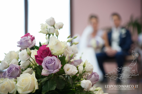 fotografo per testimoni di geova alessandria