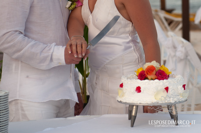 cake designer vercelli