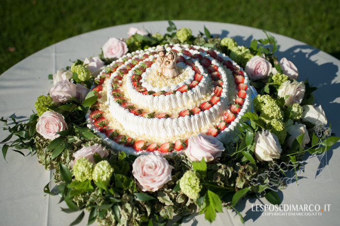 cup cakes torta nuzzle