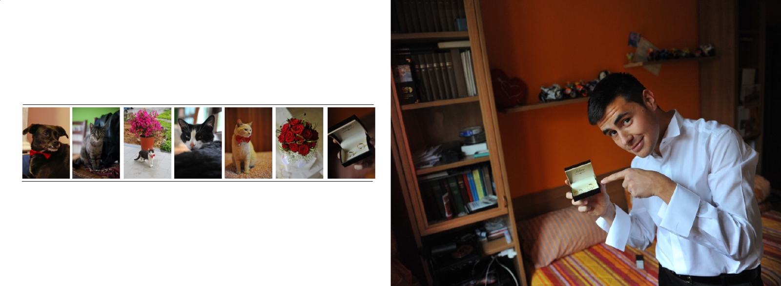 fotografo testimoni di geova