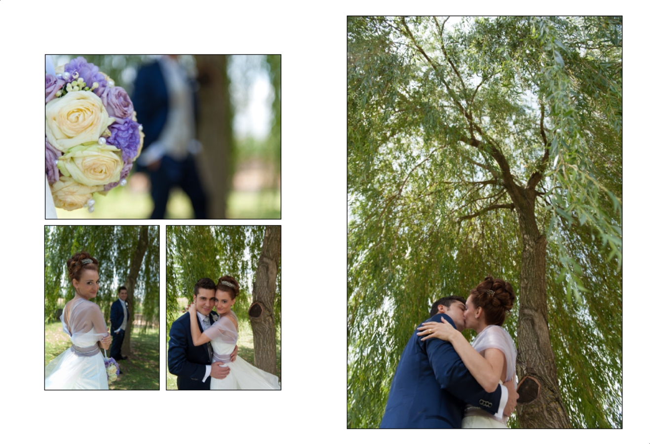 testimoni di geova a casale monferrato