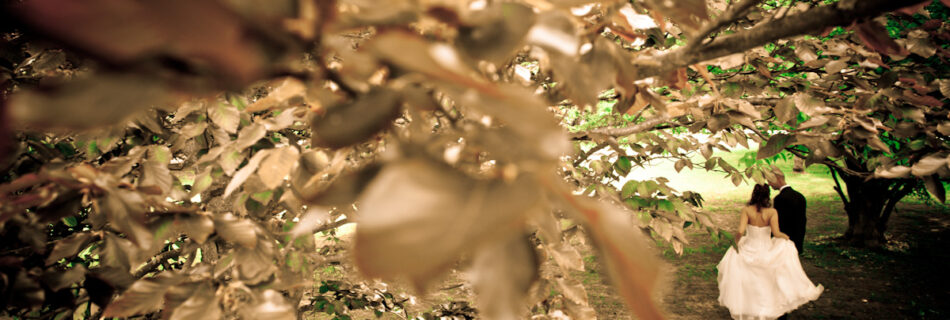 principe rosso, ristorante principe rosso, matrimonio alessandria