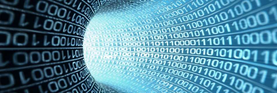 web agency casale monferrato