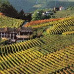 good photographer monferrato wedding