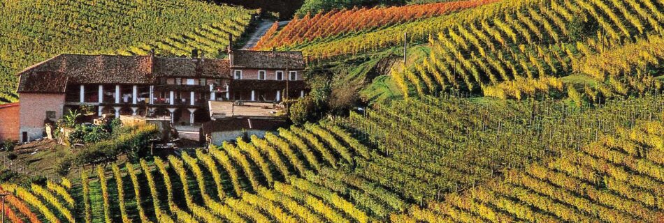 good photographer monferrato wedding