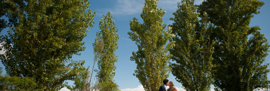 fotografo matrimonio casale monferrato