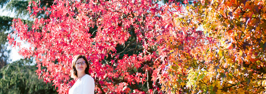 servizio fotografico della maternità